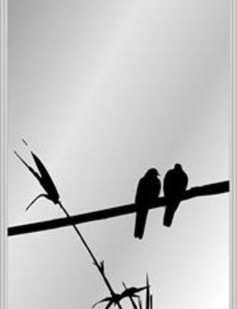 photogallery