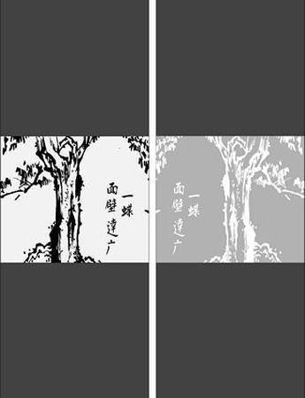 photogallery