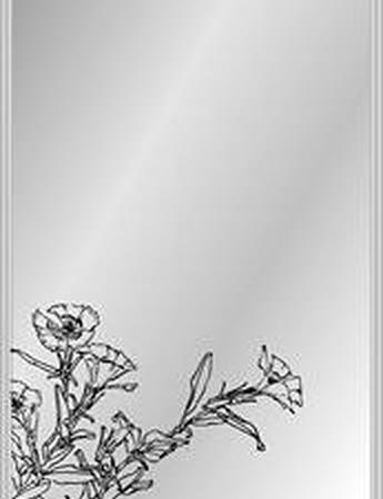 photogallery