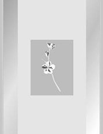 photogallery