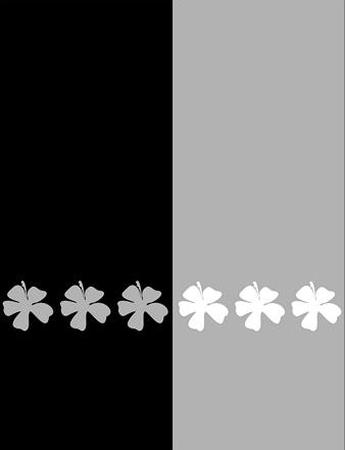 photogallery