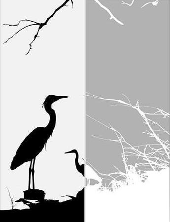 photogallery